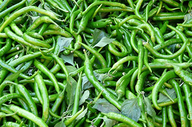 green-chilli-img